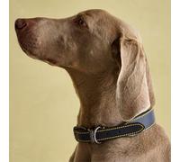 Joules Rosewood Joules - Collare per cani in pelle, colore blu navy, taglia M
