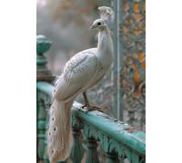Journal: 6x9 White Peacock Paperback Notebook with 100 Lined Pages to Record Your Daily Thoughts and Experiences