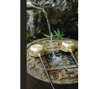 Journal: Running Water at Japanese Temple