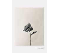 Journal - Somewhere Between