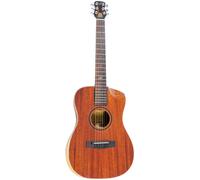 Journey Instruments OF312C