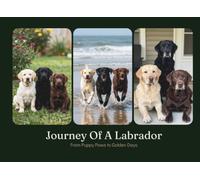 Journey Of A Labrador: From Puppy Paws to Golden Days