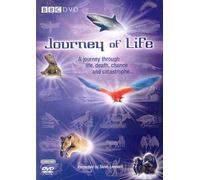 Steve Leonard - Journey Of Life [Edizione: Regno Unito] [Edizione: Regno Unito]
