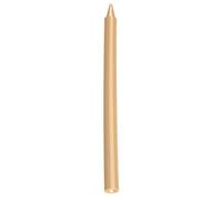 JOVI - Crayons Student, Scatola da 25 pastelli in plastica, Color Beige | Ideali dai 3 anni, Resistenti e performanti, Gluten Free