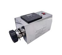 JOXLOVER Riscaldatore per Piscina, termostato Regolabile dello scaldabagno Elettrico 3KW for la Stazione termale della Piscina Caldo per Vasca da Bagno, Vasca idromassaggio