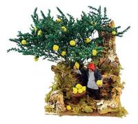 Joy Christmas Pastore per Presepe in Movimento 17 cm x 17 cm Il Raccoglitore di Limoni