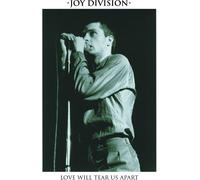 Joy Division Love Will Tear Us Apart (Vinyl LP)