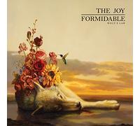 Joy Formidable - Wolf's Law