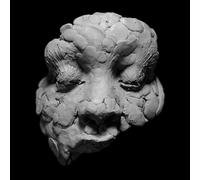 Joy Oladokun - OBSERVATIONS FROM A CROWDED ROOM