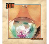 Joy Ride Along (Vinyl LP) 12" Album