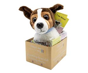 Joy Toy Minnie Adopt me Peluche 18 cm con bracciale per il nuovo BFF e libro illustrato, in confezione regalo, 12 x 15 x 25 cm