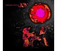 Joy Under the Spell of Joy (Vinyl LP) 12" Album