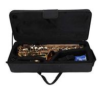 Joyance Sassofono contralto E Flat Brass Instrument, elettroforesi trattamento oro tubo piegatura, qualità professionale, design leggero, adatto per musicisti