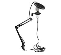 Joyance Scheda audio di interfaccia M9, mixer vocale dal vivo con effetti multipli, scheda audio USB esterna, incluso kit microfono a condensatore BM800 con braccio flessibile, bianco argento