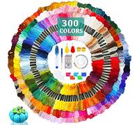 JOYBOY Filo da Ricamo,300 Colori Morbidi+Strumenti,Kit di Attrezzi Punto Croce per Braccialetti Dell'amicizia, per Adulti,Bambini e Principianti