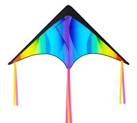 JOYIN Aquilone Grande Delta Arcobaleno Gradiente