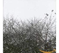 Joyner, Simon - JAGJAGUWAR Lost With The Lights On