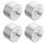 JOYOFREELY 4 Pezzi Massa di Calibrazione da 100g per Laboratorio, Pesi di Bilanciamento in Metallo per Esperimenti Scientifici e Fisici, per Scuola e Laboratorio