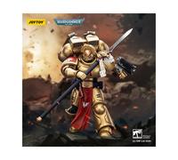 JOYTOY Action Figure Warhammer 40.000 Combat Patrol Blood Angels Sanguinary Guard 2