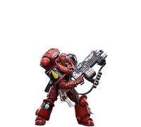 JOYTOY Warhammer 40K 1/18 Action Figure Space Marines Blood Angels Intercessors Brother Sergente Ranian Modello da collezione
