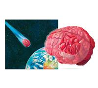 Joywave Brain Damage Picture Single (Vinyl LP)
