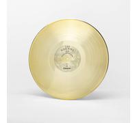 Joywave Possession (Vinyl LP) 12" Album