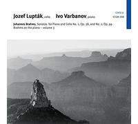 Jozef Luptak;Ivo Varbanov - Brahms on the Piano, Vol. 3