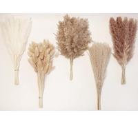 JOZMMZEOOA Fiori Secchi Decorativi per Vaso 100 Pezzi Fiori Essiccati di Bunny Tails Decorazione di Erba Della Pampa Adatta per Decorazioni Floreali per la Casa Stile BohéMien
