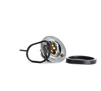 JP GROUP Termostato, Refrigerante 1514600810
