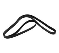 JP GROUP 3418100100 Cinghia Poly-V per HONDA,NISSAN,RENAULT