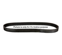 JP GROUP Cinghia A V Per Mazda 2 1.3 1.5 BMW 3 Serie Touring 320D 325D 318D