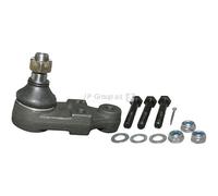 JP GROUP Giunto Sferico Anteriore Doppio Compatibile Per Ford Transit Bus