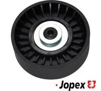 JP GROUP Rullo tenditore Cinghia trapezoidale 1118303600 25 Plastica 8 78