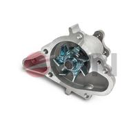 JPN 10C0502-JPN Pompa acqua per HYUNDAI GETZ (TB)