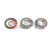 JPN 10L5005-JPN Kit cuscinetto ruota per HYUNDAI GALLOPER II (JK-01) 73mm
