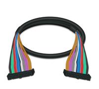 JPVLCNDJ Cavo di prolunga PLC30 con Passo Vite da 6,35 mm for Scheda morsettiera interfaccia IDC30 con Montaggio a Vite e su Guida DIN(HL-IDC30-FF-1M)