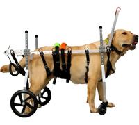 JQQJZLC Carrozzina per Cani Carrozzina con Supporto Completo per tutore per Zampe Grandi per Cani Ruote per Camminare sulle Zampe Posteriori Carrozzina per Cani Anziani (XX)