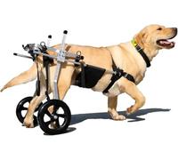 JQQJZLC Carrozzina per Cani Carrozzina per Cani per Zampe Posteriori Strumento per Camminare Carrozzina per Animali Regolabile Strumento per Camminare assistito Carrozzina per Animali Portatile