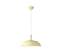 JQQJZLC Funzione Illuminazione a soffitto a soffitto in Stile Nordico Colore a Sospensione per caffetteria di Abbigliamento per Lampada a Sospensione LAMPAGGIO di Musica Decorate LUCI