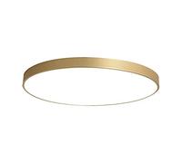 JQQJZLC Lampada a soffitto a LED Luci a soffitto a LED ULTRO-Trane Semplice Lima LIGUATA di Luce LIGUATA CITTURA MODULARE LIGHITÀ per LA Lucio per CUSCINE, SOGGIORO, LOUNGO, Solo INTERESTRATIVO