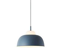 JQQJZLC Lampada del lampadario a Sospensione Multicolore nordica in Metallo a Sospensione della Moderna Cucina Regolabile Cucina a Sospensione Illuminazione per Il soffitto per Le Ragazze da Letto da