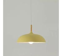 JQQJZLC Lampadario da interno, lampadario moderno stile minimalista, lampada a sospensione in metallo a testa singola, plafoniera, lampada da interno, lampada a sospensione della decorazione del caffè