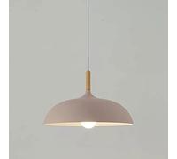 JQQJZLC Lampadario da interno, lampadario moderno stile minimalista, lampada a sospensione in metallo a testa singola, plafoniera, lampada da interno, lampada a sospensione della decorazione del caffè
