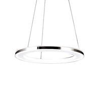 JQQJZLC Lampadario moderno ad anello in acciaio inox, illuminazione a LED per sala da pranzo, soggiorno, hotel, bar, illuminazione da ristorante, 40 cm-16 W, 40 cm-16 W (30 cm 12 W)