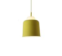 JQQJZLC Lampadella in Stile Nordic Creative Creative Creative Light Color Color Cittant Lampshade Metal Paphade Personal Metal Affermazione Flaching Restauranti Cafe Bar Camera da Letto Lanterna