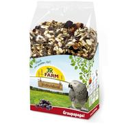 JR FARM Birds Individual pappagallo grigio 950 g