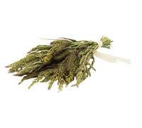 JR FARM Birds Miglio Potpourri 50 g