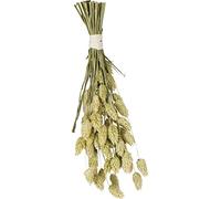 JR FARM Birds - Semi di canarino 20 g