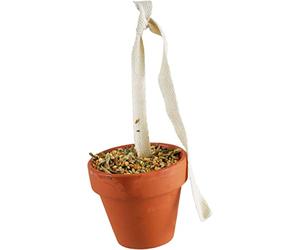 JR FARM Birds - Vasino di terracotta a forma di pappagallino e canarino, 80 g