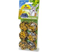 JR Farm Biscotti Integrali ai Mirtilli - 80 g